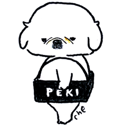 Tシャツまつり_13(PEKI)