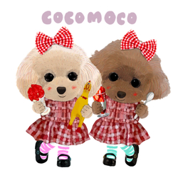 COCO & MOCO