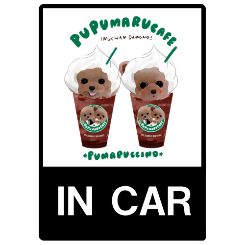 PUMAPUCCINO