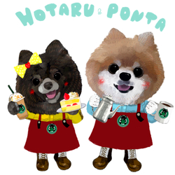 PONTA & HOTARU