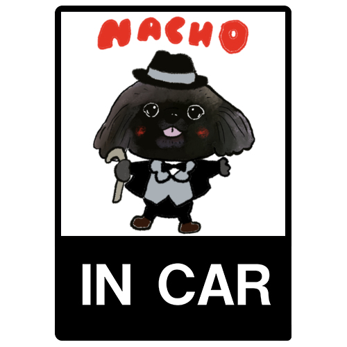 Nacho