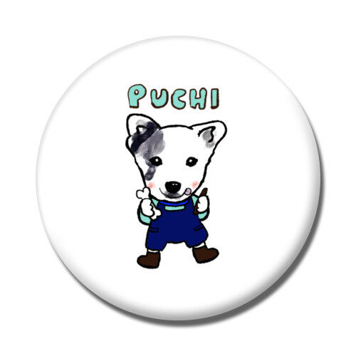 PUCHI