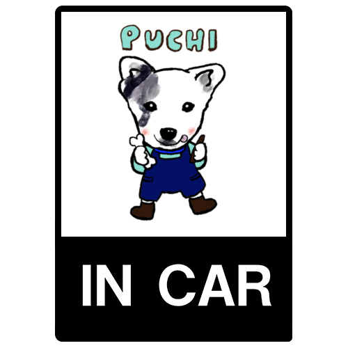 PUCHI
