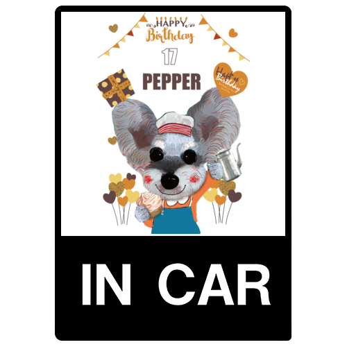 PEPPER