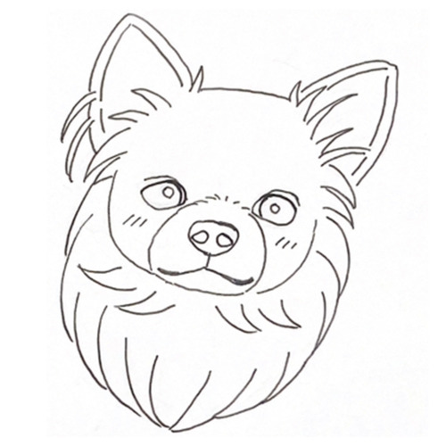 マシュマロちゃん