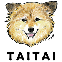 TAITAI