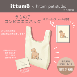 hitomi pet studio(3月20日12時販売開始）