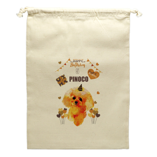 PINOKO