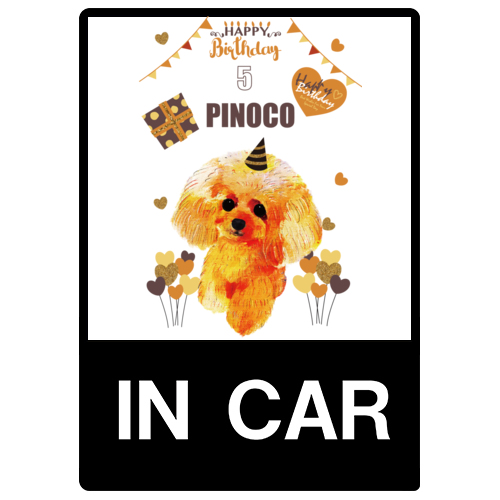 PINOKO