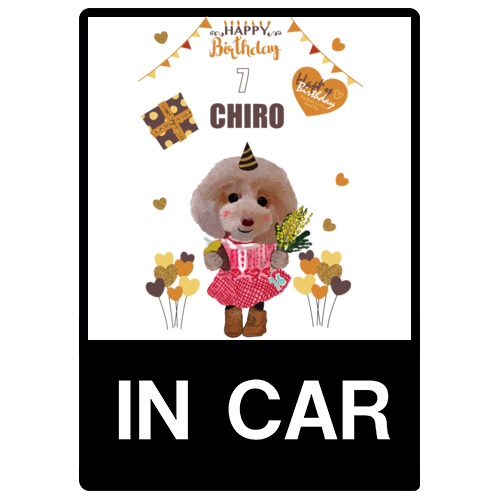 CHIRO