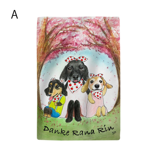 ラナちゃんダンケくんリンちゃん