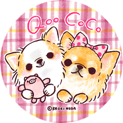 Qoo&Coco