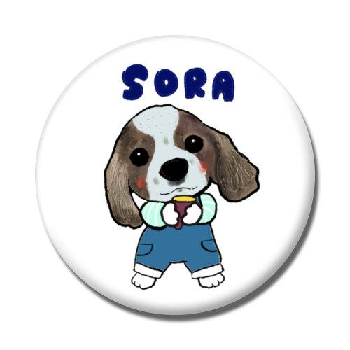 SORA