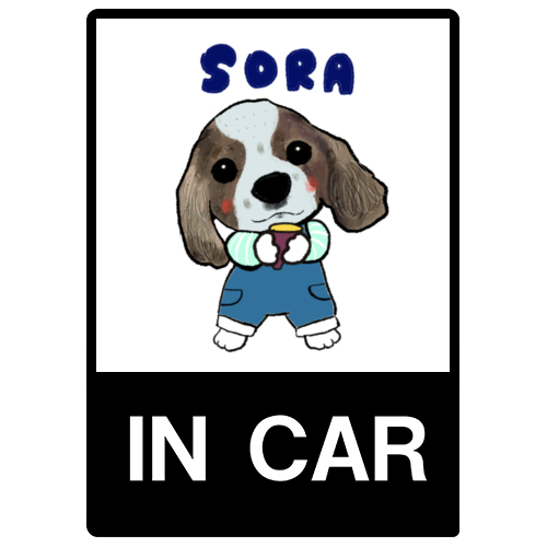 SORA