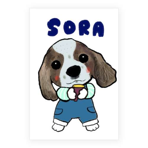 SORA