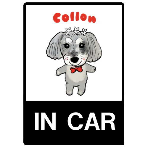 COLLON