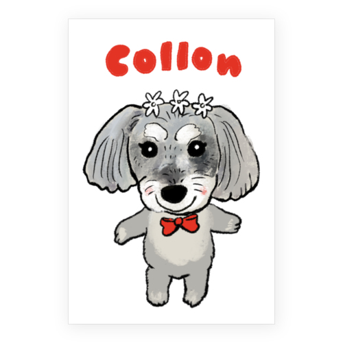 COLLON