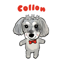 COLLON