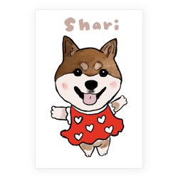 SHARI